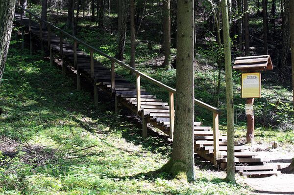 Деревянная лестница подъема на пилякальнис в Стирняй Деревянная лестница подъема на пилякальнис в Стирняй - Sputnik Литва