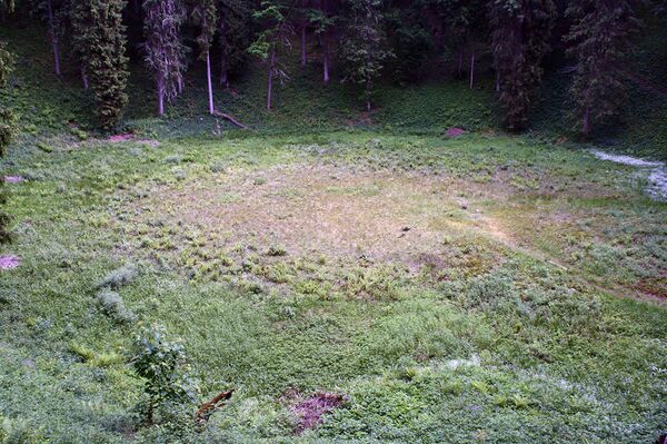 Поверхность болота на дне Ямы чертей заросла травой - Sputnik Литва