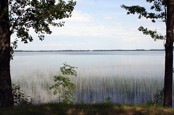 Озеро в Литве - Sputnik Литва