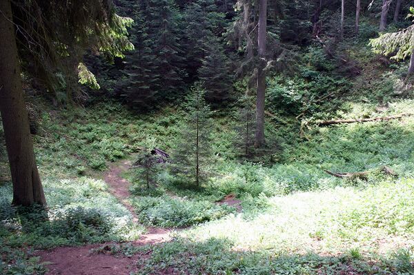 Стревский провал  - Sputnik Литва