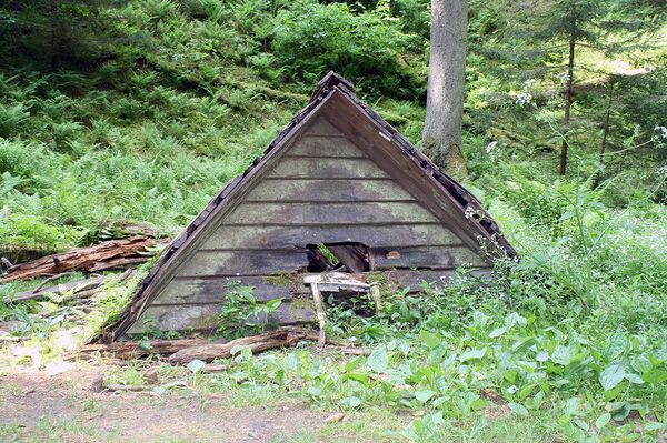 Крыша домика чертей - Sputnik Литва