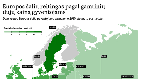 Europos šalių reitingas pagal gamtinių dujų kainą gyventojams - Sputnik Lietuva