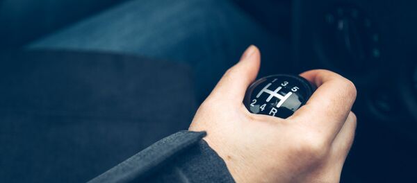 Водитель, архивное фото - Sputnik Литва