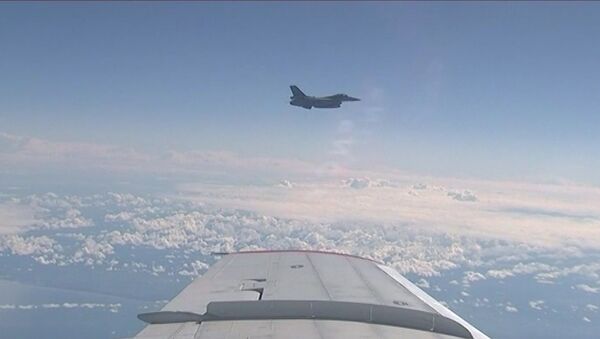 Истребитель НАТО приблизился к самолету министра обороны РФ - Sputnik Литва