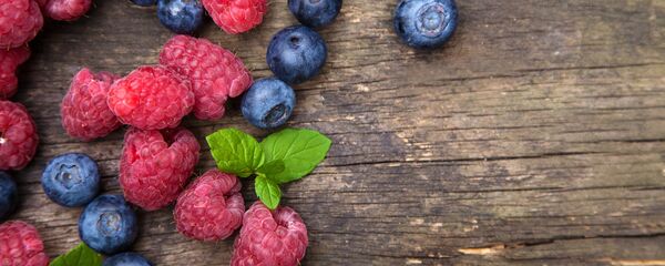 Лесные ягоды: малина и черника Лесные ягоды: малина и черника - Sputnik Lietuva