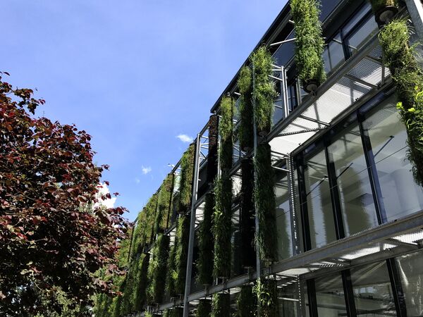 Отличный пример вертикального озеленения зданий со встроенным автополивом растений - Sputnik Lietuva