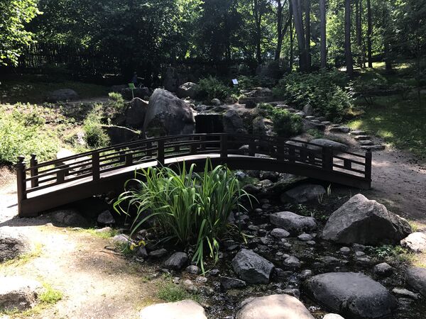 Традиционный японский мостик над каменистым ручьем - Sputnik Литва