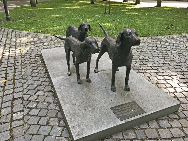 Памятник собаке единственной породы, выведенной в Литве - литовской охотничьей - Sputnik Lietuva