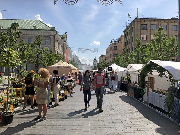 По выходным на проспекте Гедиминаса зачастую устраивают ярмарки По выходным на проспекте Гедиминаса зачастую устраивают ярмарки - Sputnik Литва