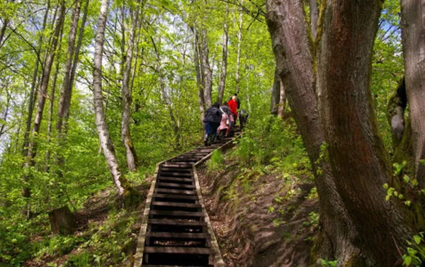 Dūkštos pažintinis takas – tai vienas sudėtingiausių, daug fizinių jėgų reikalaujantis, tačiau pats įdomiausias Neries regioninio parko maršrutas, kuriuo tikrai verta keliauti. Dūkštos pažintinis takas – tai vienas sudėtingiausių, daug fizinių jėgų reikalaujantis, tačiau pats įdomiausias Neries regioninio parko maršrutas, kuriuo tikrai verta keliauti. - Sputnik Lietuva
