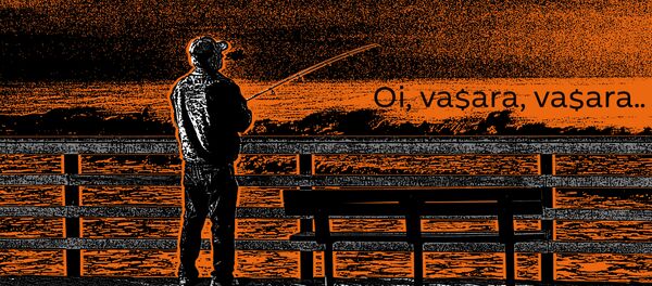 Oi, vasara, vasara - Sputnik Lietuva