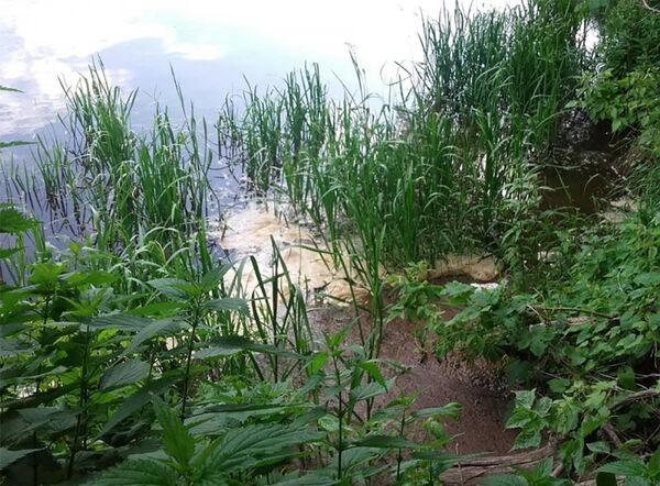 Загрязнение реки Нерис - Sputnik Литва