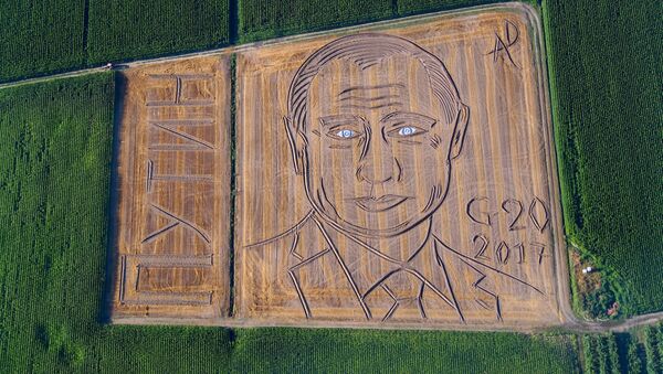Портрет Путина на поле - Sputnik Литва