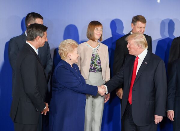 Президент Литвы Даля Грибаускайте и президент США Дональд Трамп на встрече в Варшаве Президент Литвы Даля Грибаускайте и президент США Дональд Трамп на встрече в Варшаве - Sputnik Lietuva