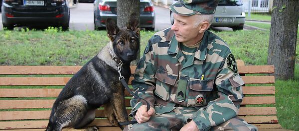 Tarnybą pasienyje pradeda keturi vokiečių ir olandų aviganiai Tarnybą pasienyje pradeda keturi vokiečių ir olandų aviganiai - Sputnik Lietuva