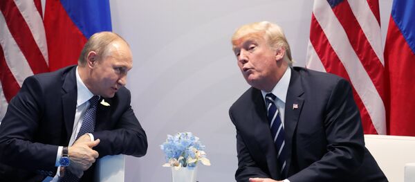 Президент РФ В. Путин принимает участие в саммите Группы двадцати в Гамбурге - Sputnik Литва