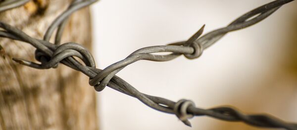 Колючая проволока - Sputnik Литва