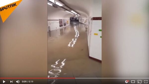 Затопленная станция метров в Париже, видео - Sputnik Литва
