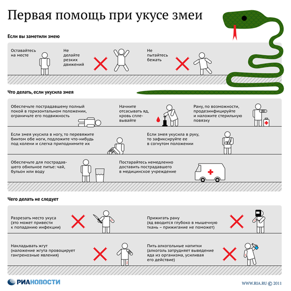Первая помощь при укусе змеи Первая помощь при укусе змеи - Sputnik Литва