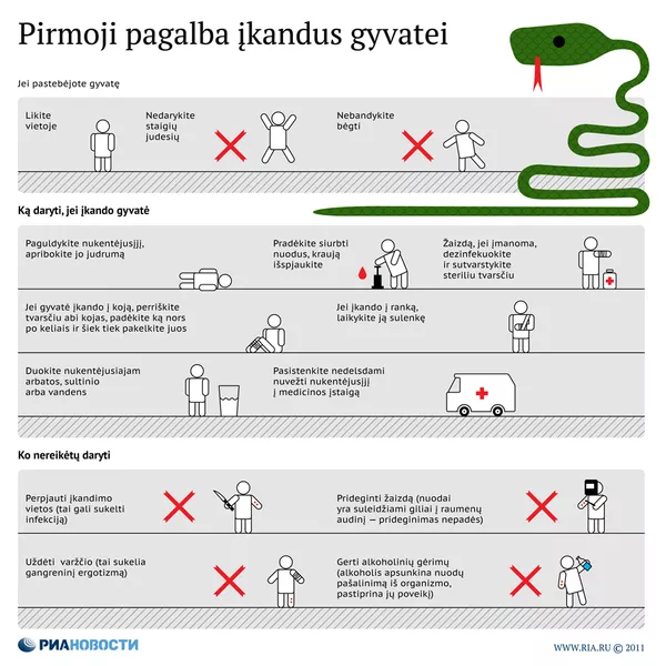 Pirmoji pagalba įkandus gyvatei Pirmoji pagalba įkandus gyvatei - Sputnik Lietuva