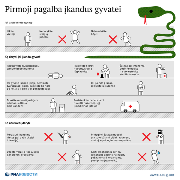 Pirmoji pagalba įkandus gyvatei Pirmoji pagalba įkandus gyvatei - Sputnik Lietuva