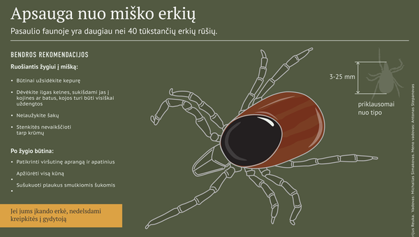 Apsauga nuo miško erkių - Sputnik Lietuva