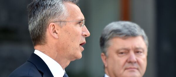 Йенс Столтенберг и Петр Парашенко Йенс Столтенберг и Петр Парашенко - Sputnik Lietuva