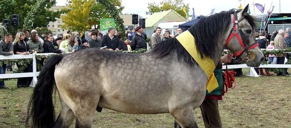 Жемайтукас - Sputnik Литва