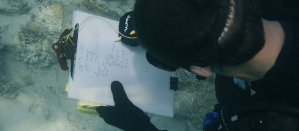 Подводный археолог - Sputnik Литва