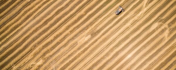 Derlius Derlius - Sputnik Lietuva