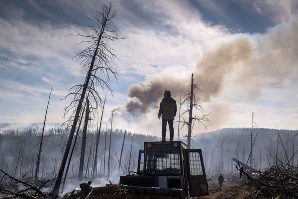 Последствия лесных пожаров в Бурятии - Sputnik Литва