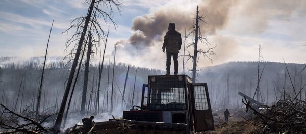 Последствия лесных пожаров в Бурятии - Sputnik Литва