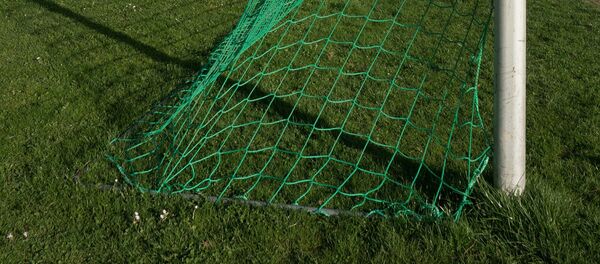Врата футбольного поля Врата футбольного поля - Sputnik Литва