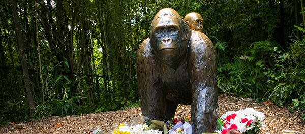 Статуя гориллы и ее ребенка неподалеку от зоопарка, в котором произошел инцидент с гориллой Харамб - Sputnik Lietuva