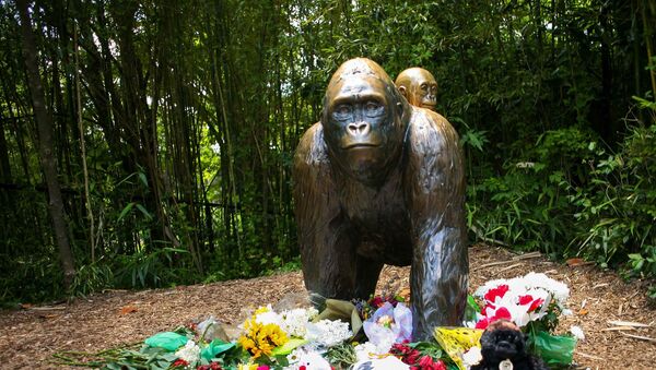Статуя гориллы и ее ребенка неподалеку от зоопарка, в котором произошел инцидент с гориллой Харамб - Sputnik Lietuva