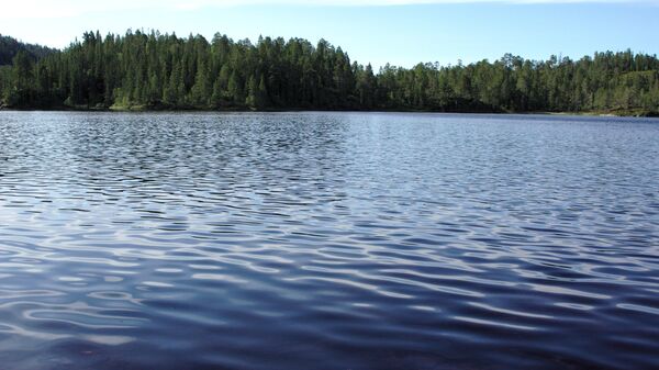 Озеро, архивное фото - Sputnik Литва