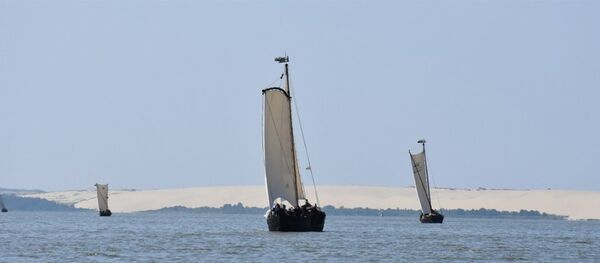 Regata Burpilis Regata Burpilis - Sputnik Lietuva