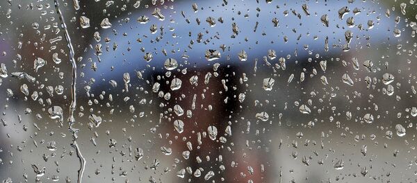 Дождливая погода Дождливая погода - Sputnik Lietuva