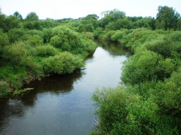 Река Шяшупе - Sputnik Lietuva