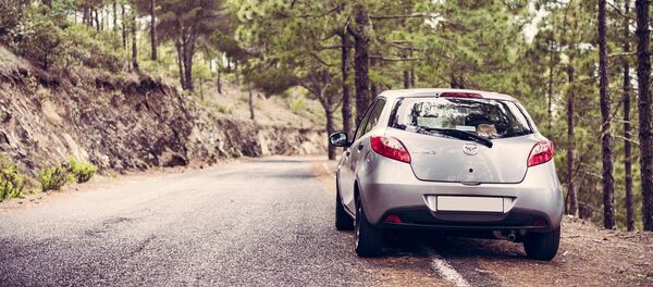 Машина припаркована у обочины в лесу Машина припаркована у обочины в лесу - Sputnik Литва