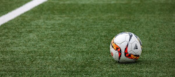 Мяч на футбольном поле, архивное фото Мяч на футбольном поле, архивное фото - Sputnik Литва