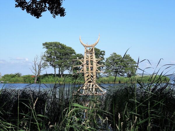 Mėnesiena Mėnesiena - Sputnik Lietuva