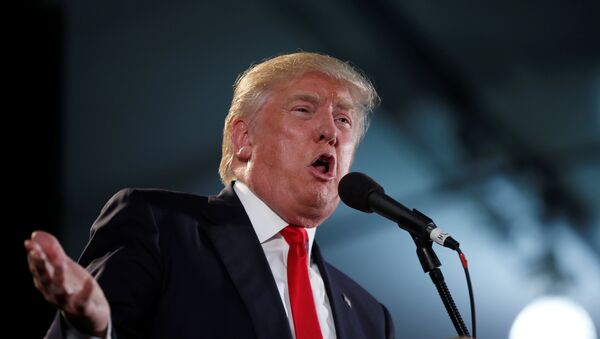 Кандидат в президенты США Дональд Трамп за трибуной во время избирательной компании - Sputnik Lietuva