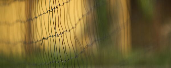 Волейбольная сетка - Sputnik Литва