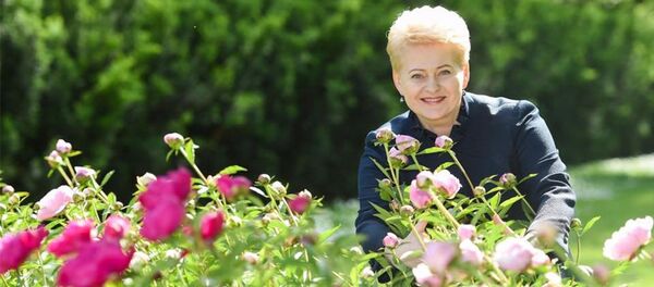 Президент Литвы Далия Грибаускайте в цветах Президент Литвы Далия Грибаускайте в цветах - Sputnik Lietuva