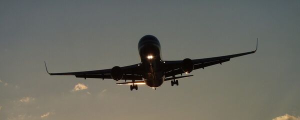 Пассажирский самолет в небе, архивное фото Пассажирский самолет в небе, архивное фото - Sputnik Литва