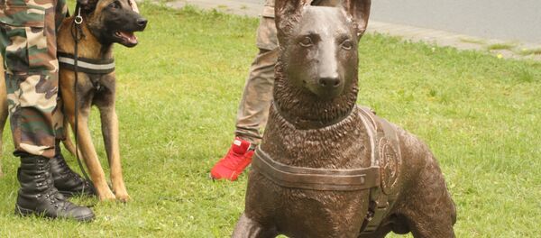 Скульптура овчарки Рамзиса, погибшего при охране границы - Sputnik Lietuva