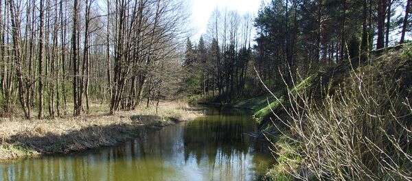 Река Ancia - Sputnik Литва