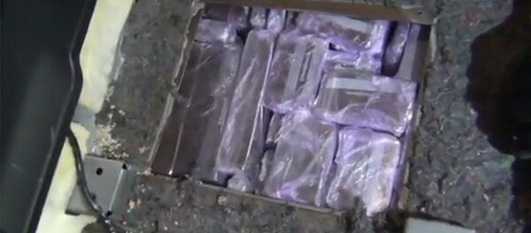 Пограничники обнаружили партию гашиша - Sputnik Литва