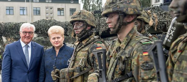 Франк-Вальтер Штайнмайер и Далия Грибаускайте Франк-Вальтер Штайнмайер и Далия Грибаускайте - Sputnik Lietuva